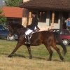 Hubertus 2006